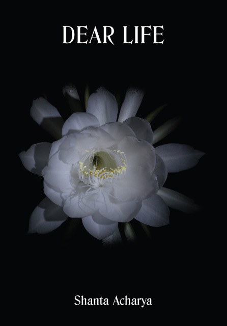 Image of book cover for title What Survives Is The Singing