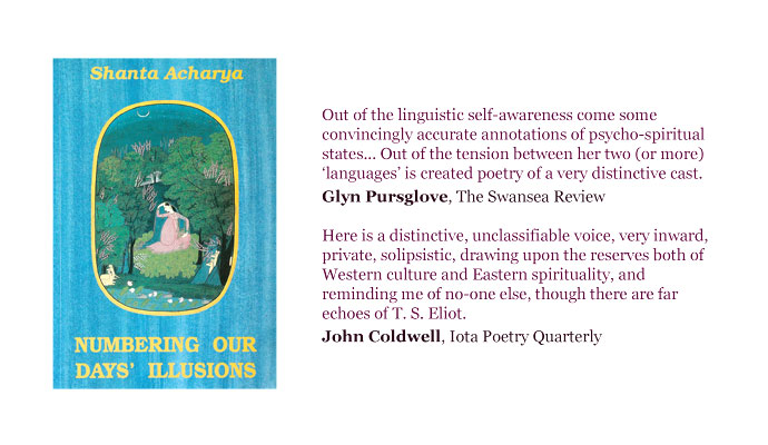 Image of book cover for 'Numbering Our Days' Illusions'